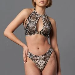 All Pole Wear Shark Polewear Boston Shorts - Snake