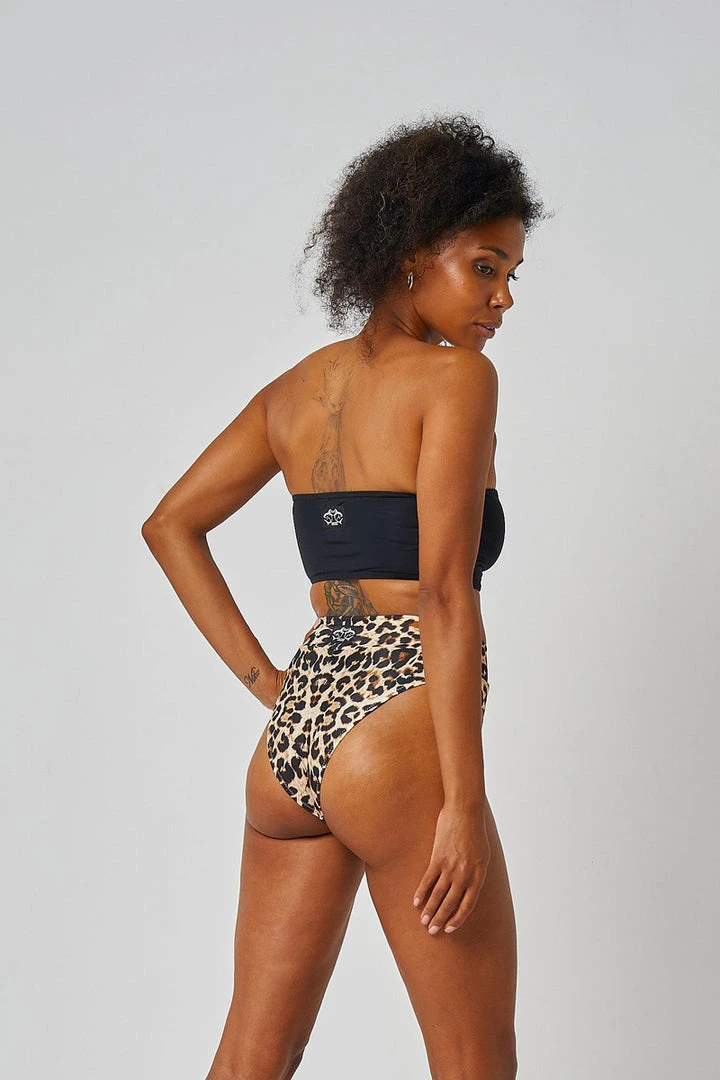 Shark Polewear Mesh Tahiti Shorts - Leopard All Pole Wear 6 Shark Polewear Mesh Tahiti Shorts - Leopard All Pole Wear