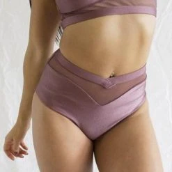 Tatiana Activewear Lucia Shorts - Mauve All Pole Wear