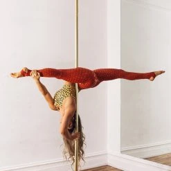 All Pole Wear Creatures Of XIX Gecko Grip Leggings - Red Rust