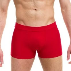 Dragonfly Mike Shorts - Red All Pole Wear
