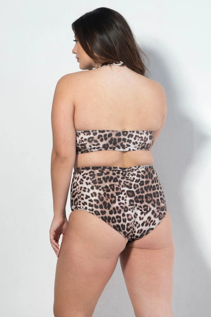 All Pole Wear RAD Eve Shorts - Leopard 7 All Pole Wear RAD Eve Shorts - Leopard