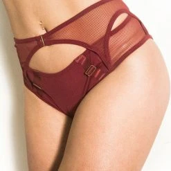 All Pole Wear Tatiana Activewear Kaizen Shorts - Burgundy