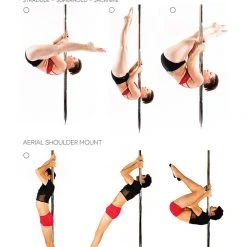 Books Spin City The Ultimate Pole Bible (6th Edition)